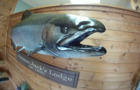 mounted salmon close up.