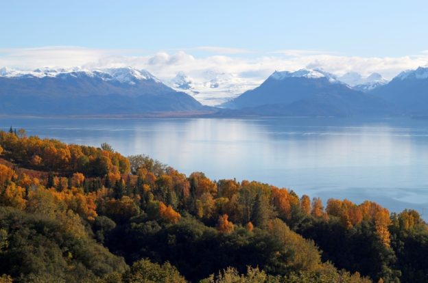 Alaskan forests in Autumn, with lake and mountains in the background
