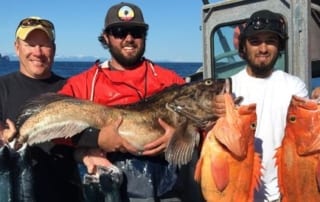 Three men holding rockfish, grouper and salmon