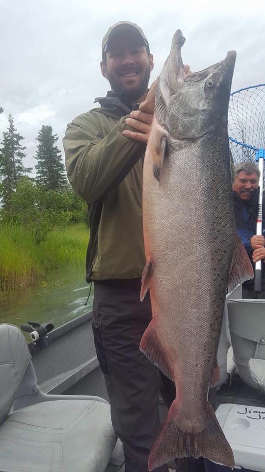 Salmon Run Alaska