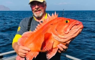 Alaska Rockfish