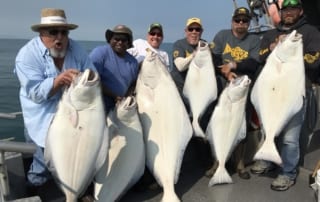 A group of men stand aboard a fishing ship with a large haul of halibut.