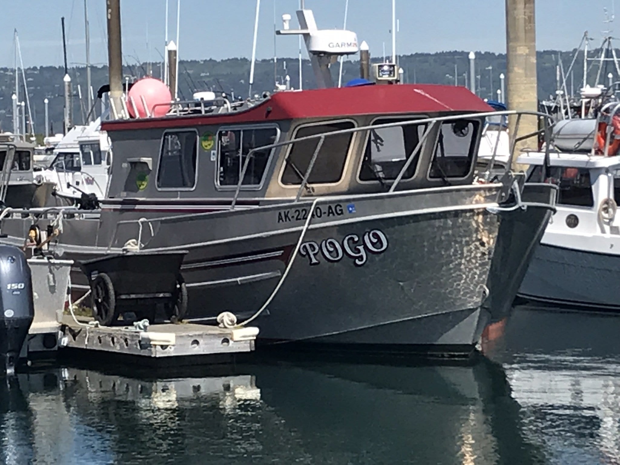 Pogo fishing boat at the docks