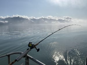 A bent rod at the back of a saltwater boat isn't something you need on your travel packing list.