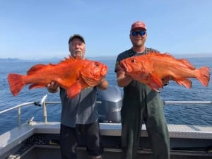Two guests holding rockfish caught on one of Jimmie Jack's Alaska fishing charters..
