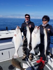 A duo of anglers smiles for the camera while each holding two mid-sized halibut in Alaska.