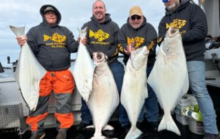 Homer Alaska Fishing: A group of four anglers hold up their massive halibut caught near Homer, Alaska.