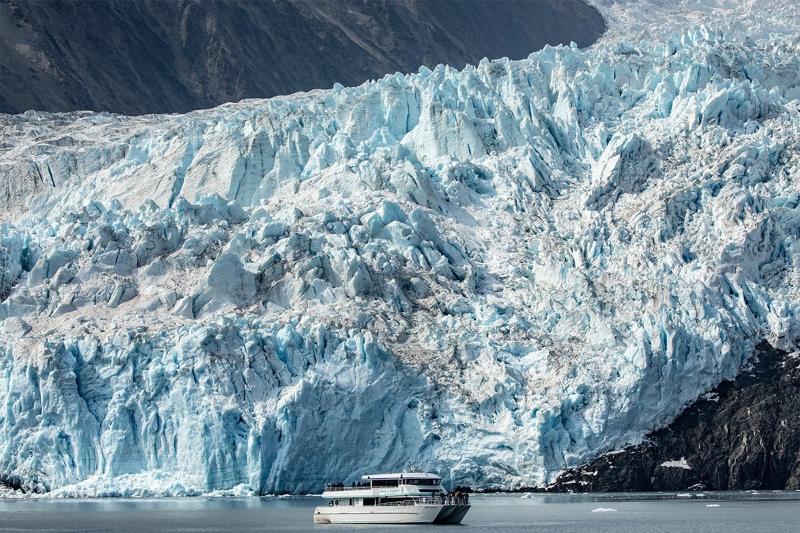 Glacier Cruise Seward